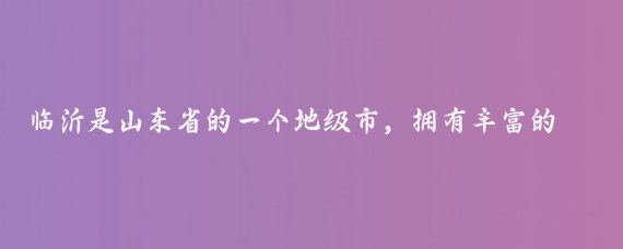 臨沂是山東省的一個(gè)地級市，擁有豐富的自然風(fēng)光和歷史文化景觀(guān)